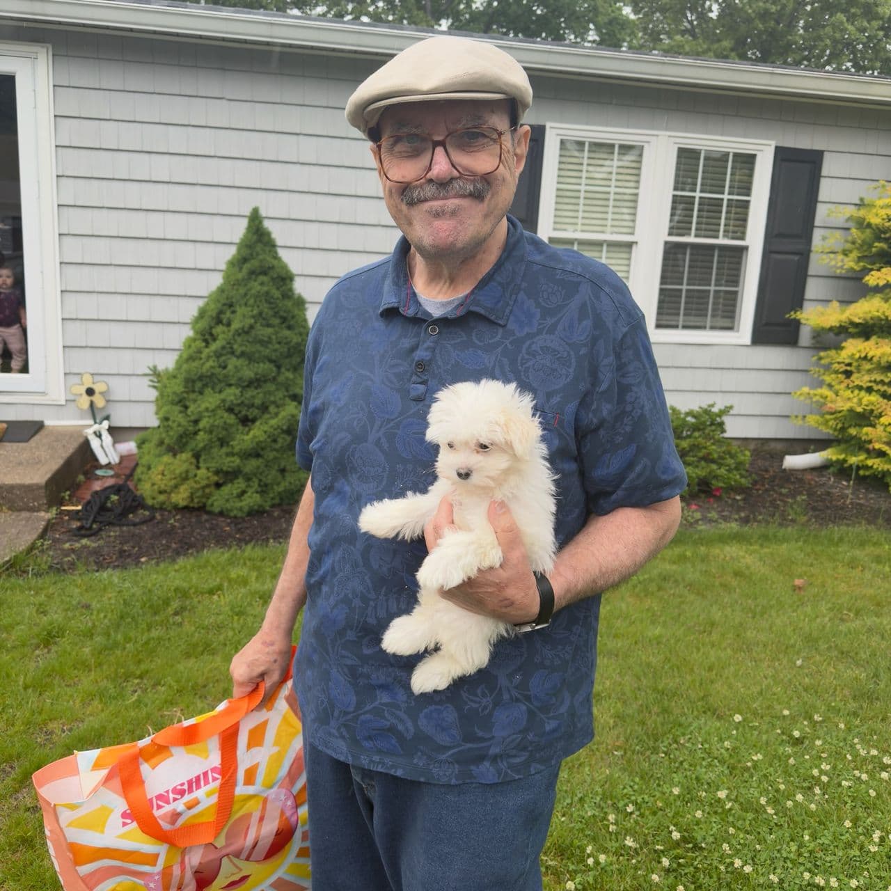 Pet travel photo 4
