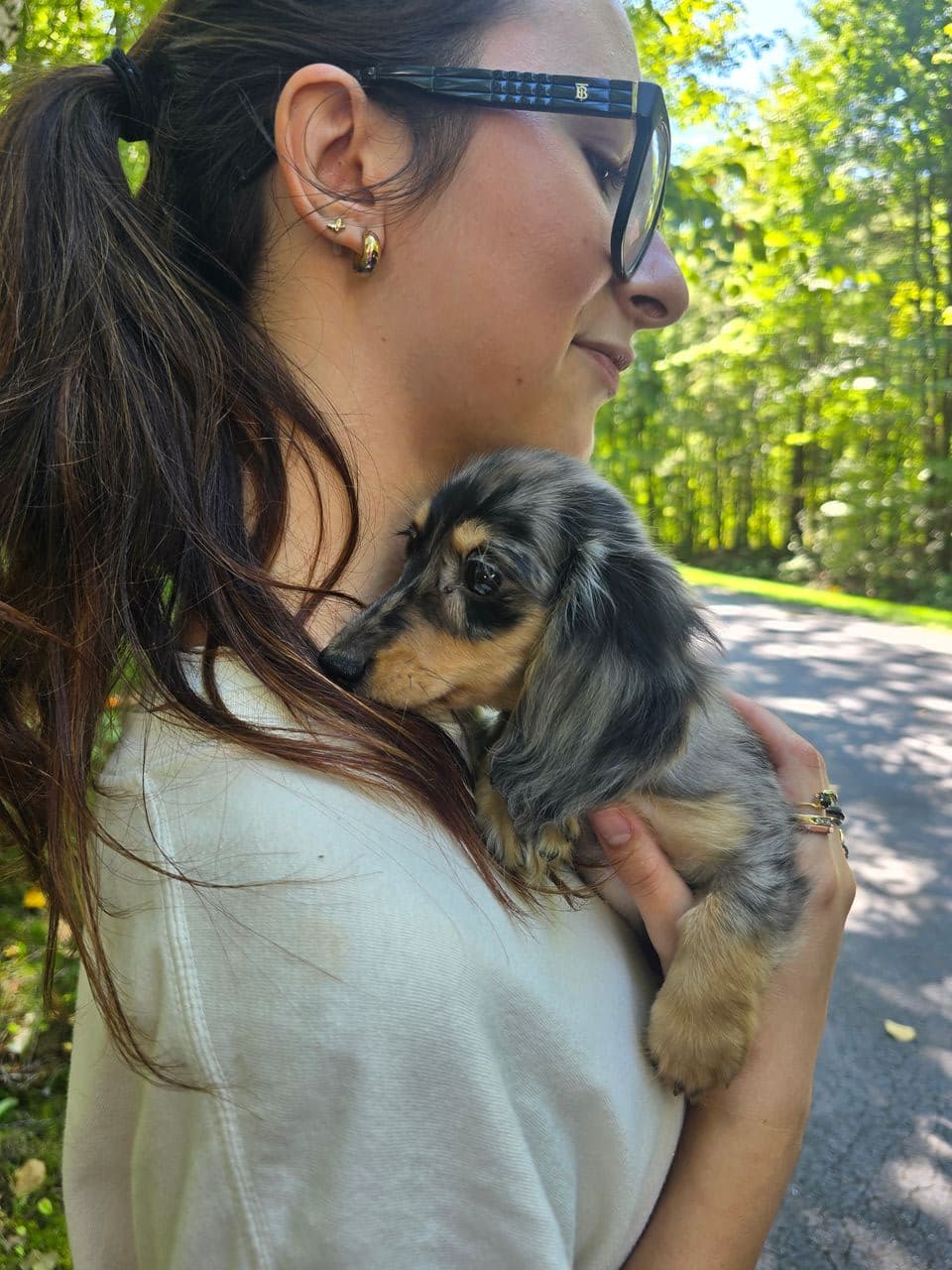 Pet travel photo 2