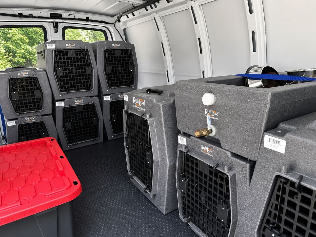 Pet travel photo 4