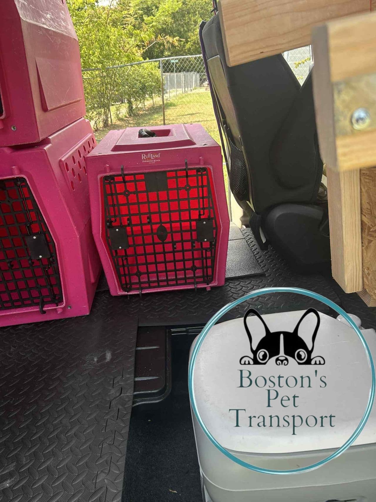 Pet travel photo 2
