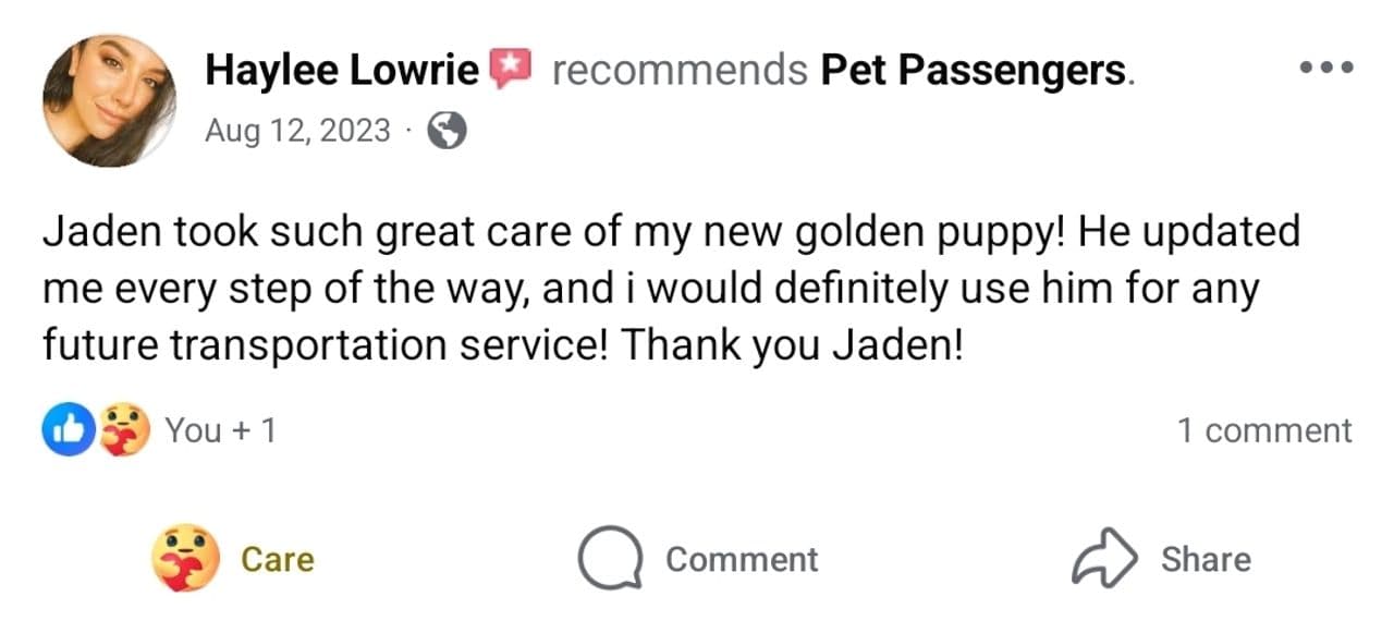 Pet travel photo 5