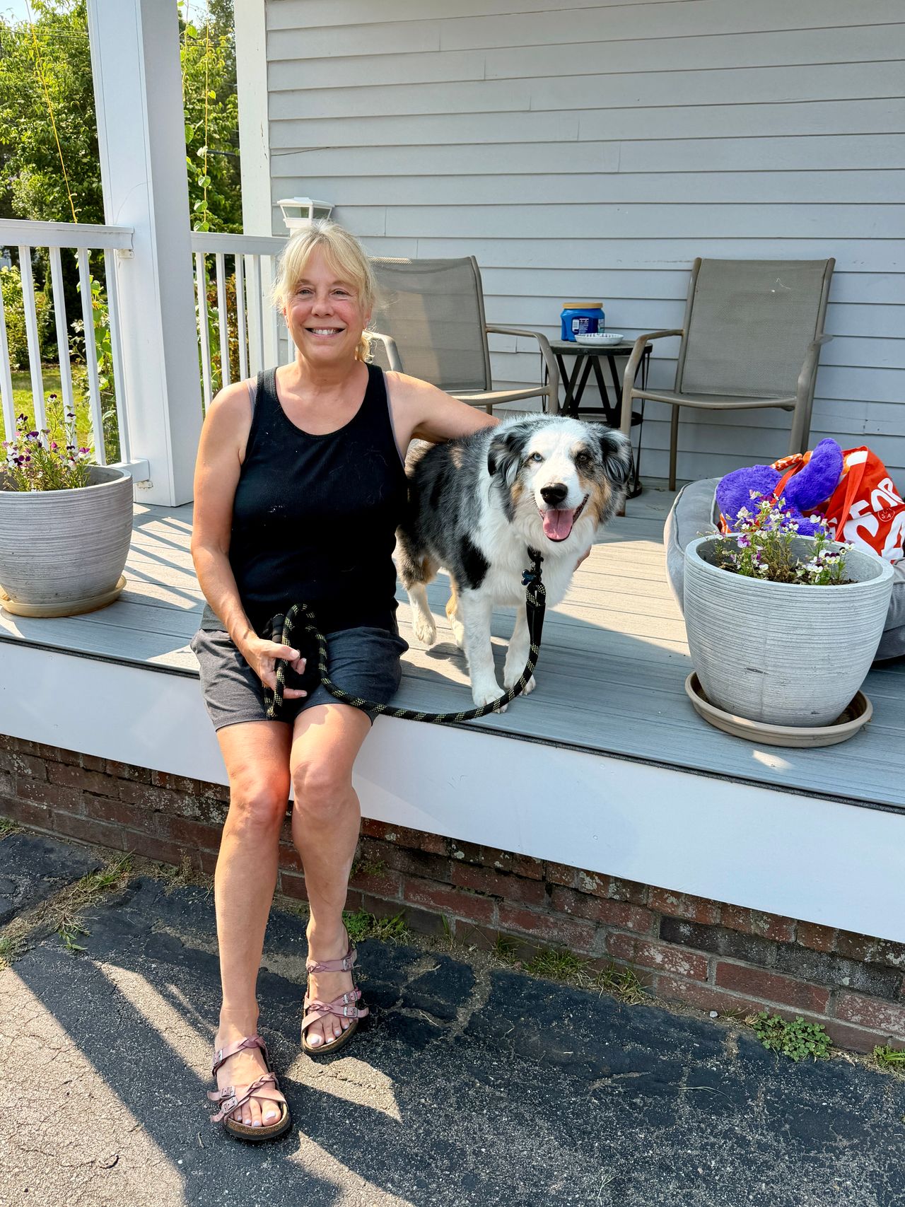 Pet travel photo 2