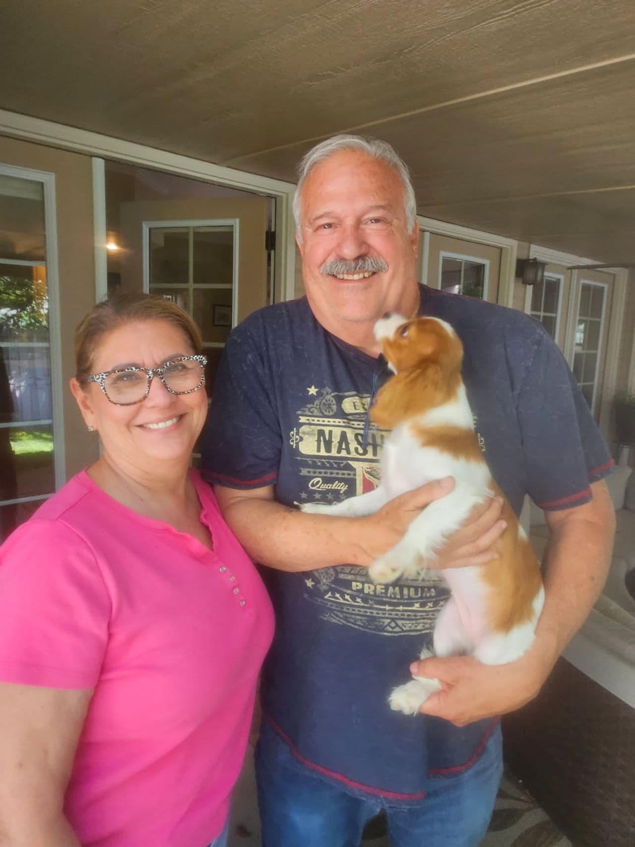 Pet travel photo 3