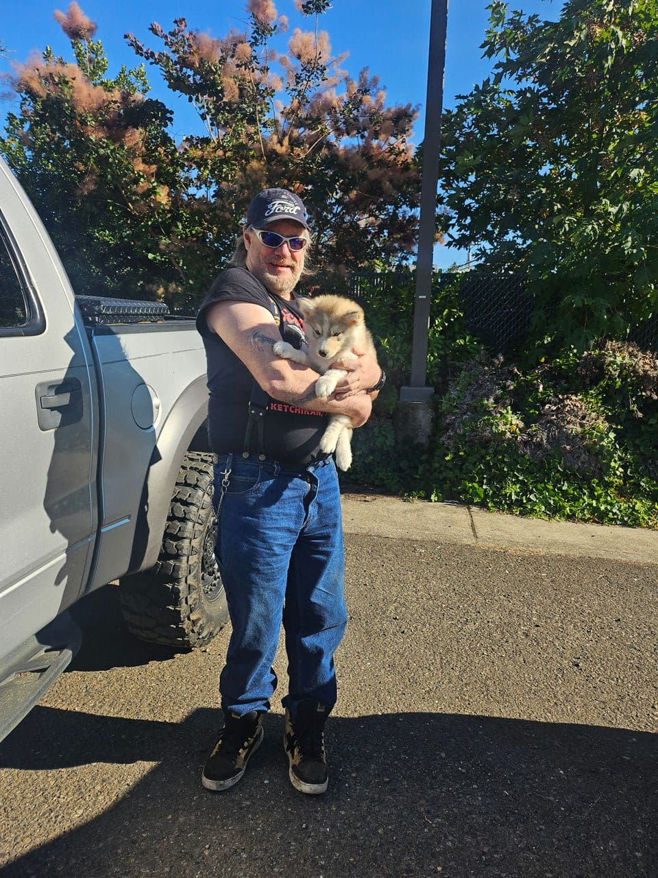 Pet travel photo 1