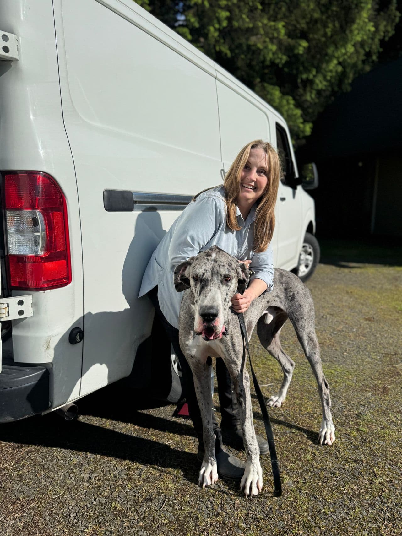 Pet travel photo 1