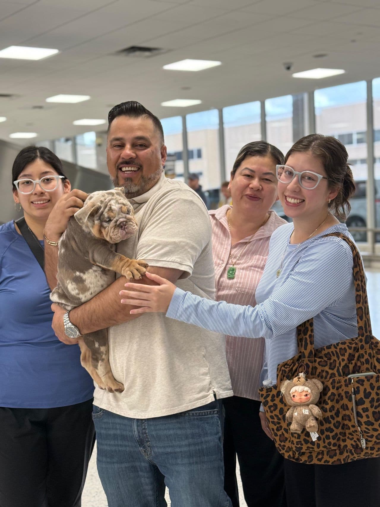 Pet travel photo 1