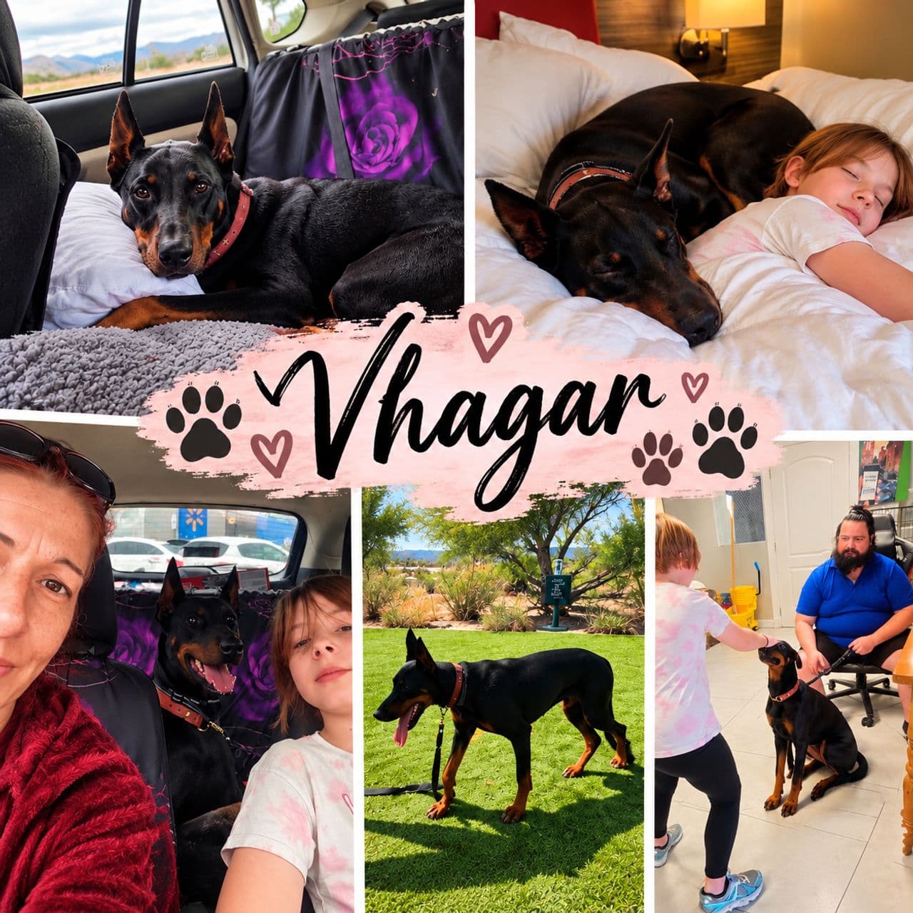 Pet travel photo 2
