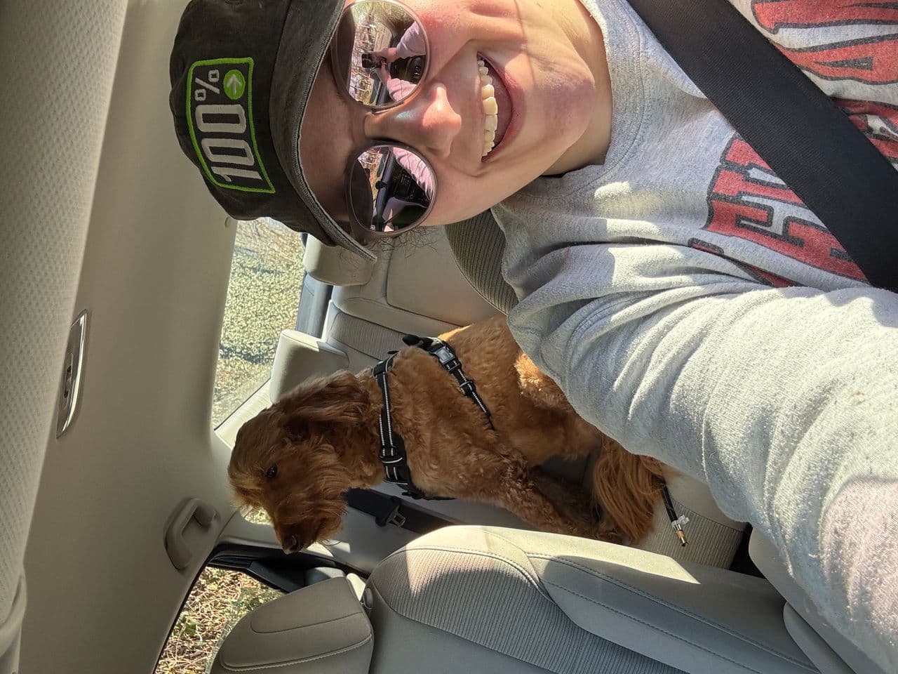 Pet travel photo 1