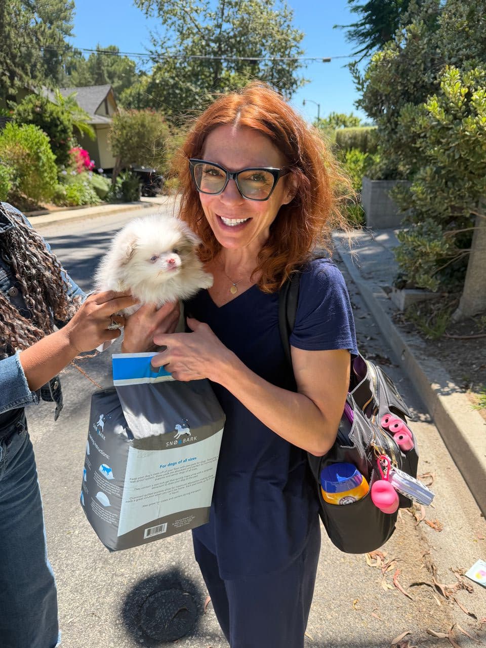 Pet travel photo 2