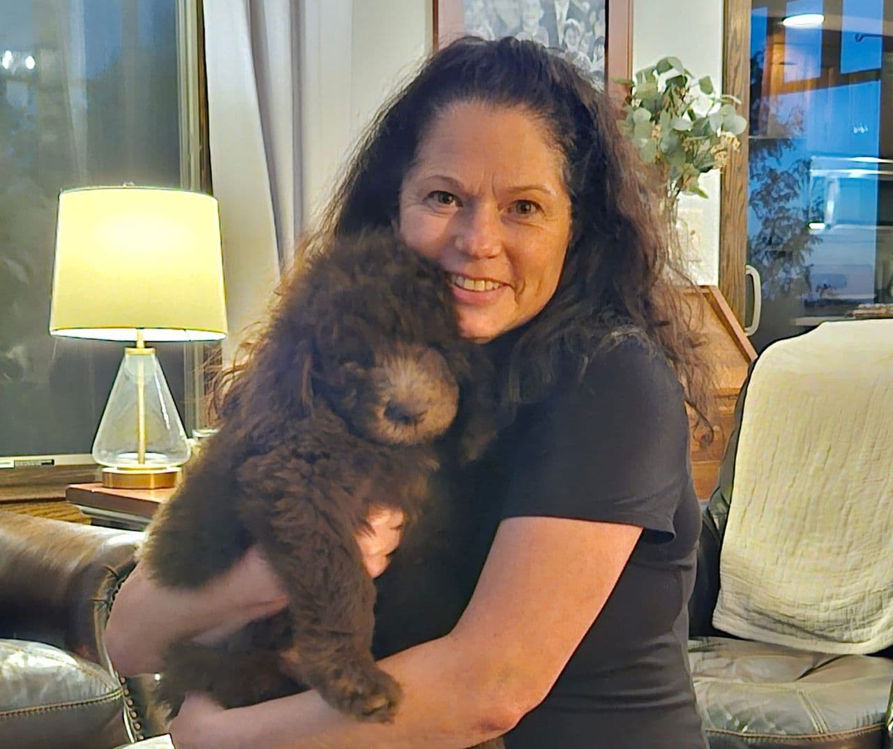 Pet travel photo 1