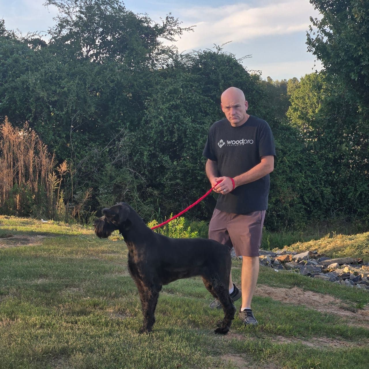 Pet travel photo 6