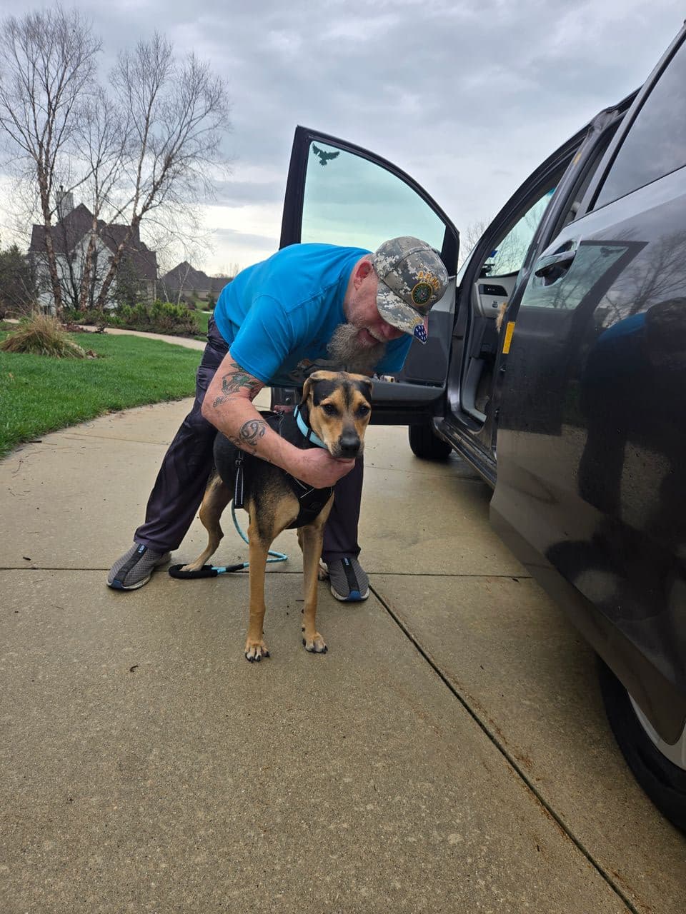 Pet travel photo 5