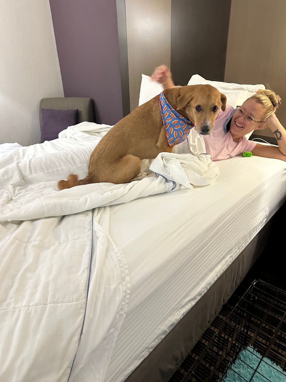 Pet travel photo 5