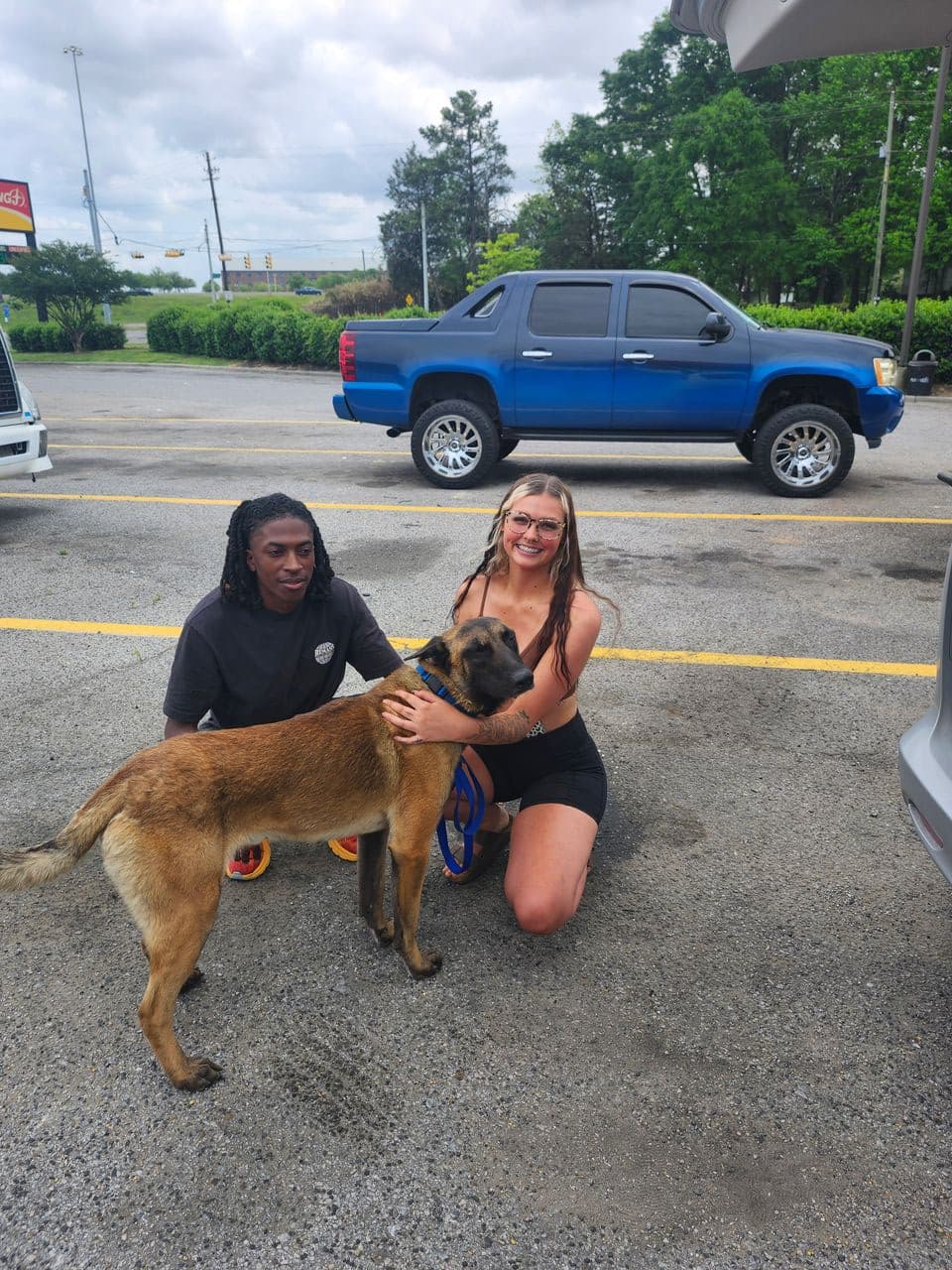 Pet travel photo 1