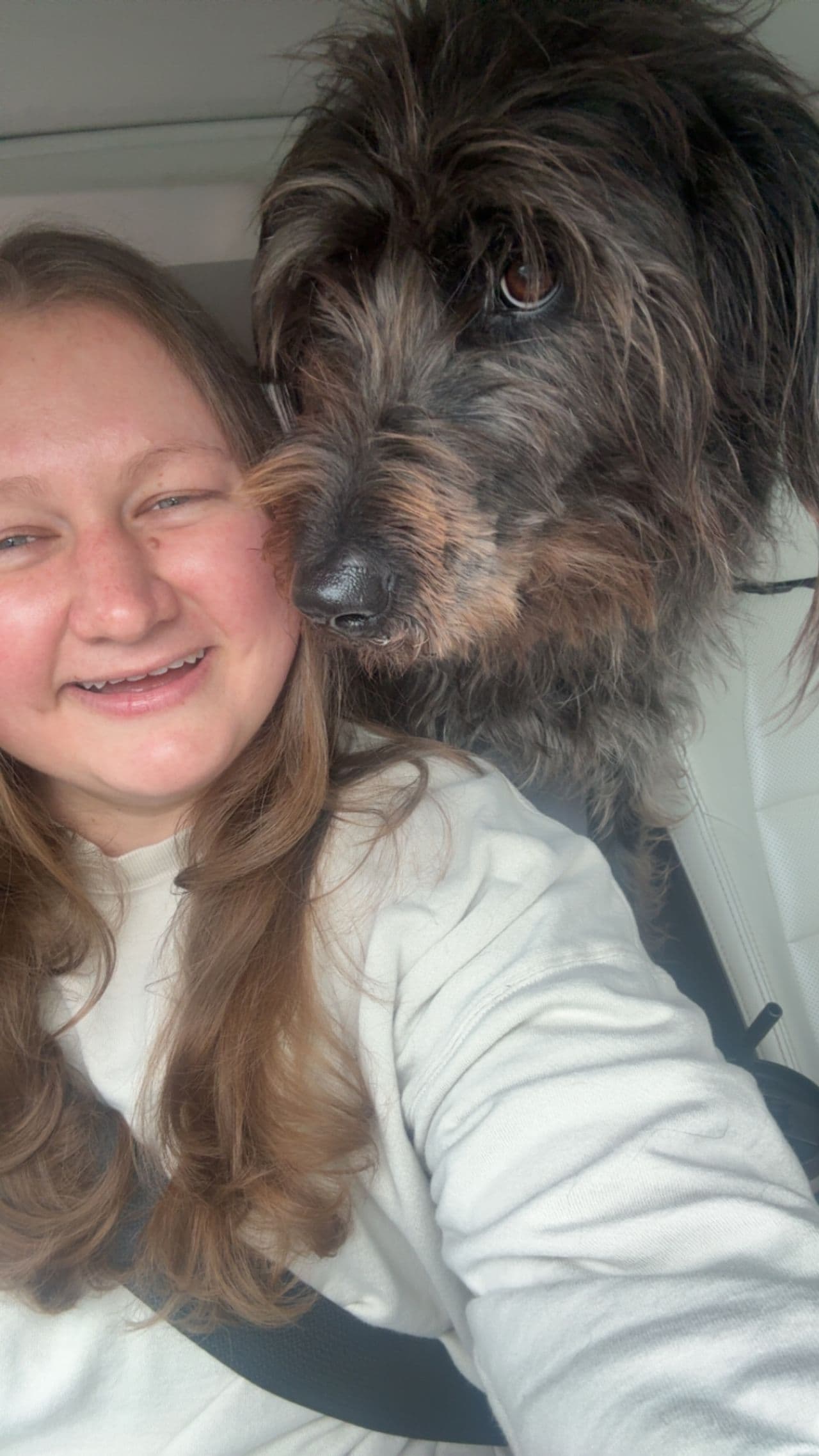 Pet travel photo 4
