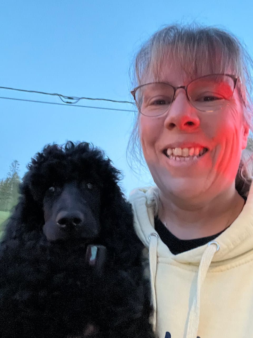 Pet travel photo 6