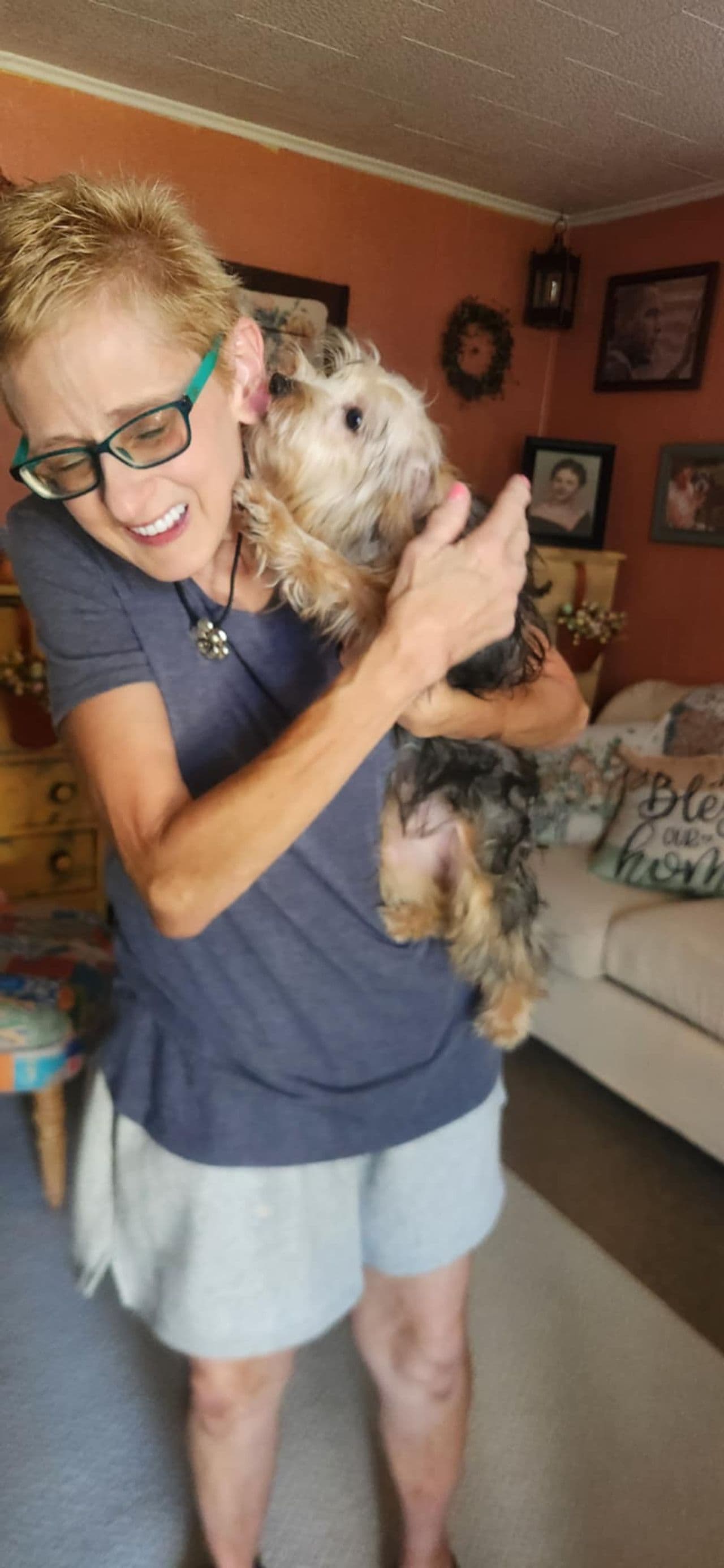Pet travel photo 4