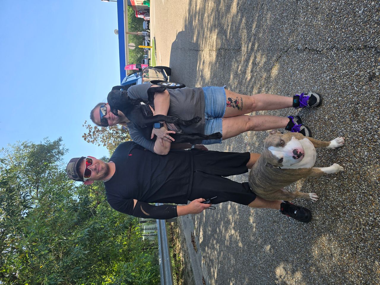 Pet travel photo 5