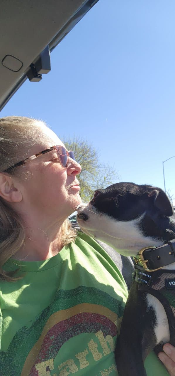 Pet travel photo 6