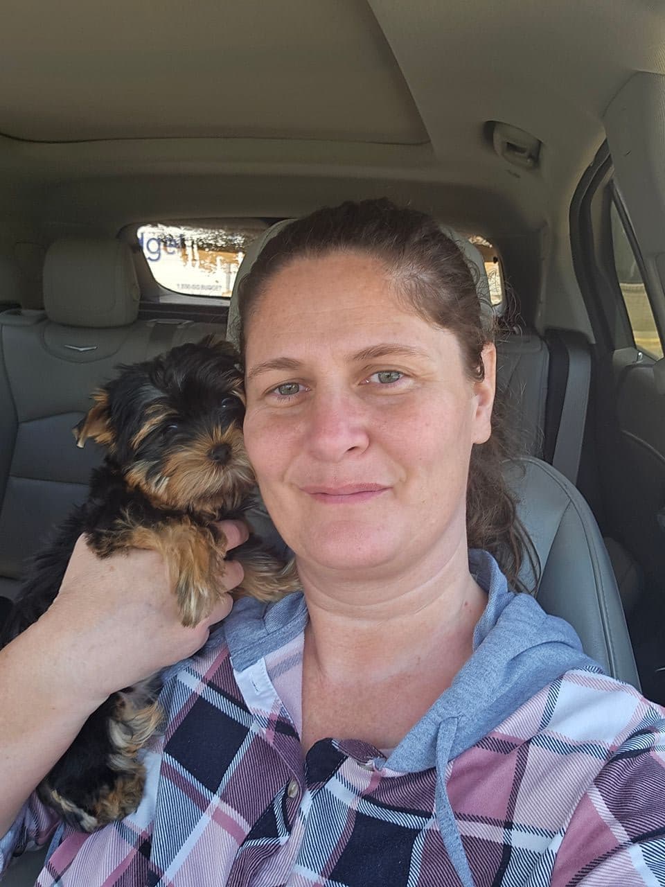 Pet travel photo 1
