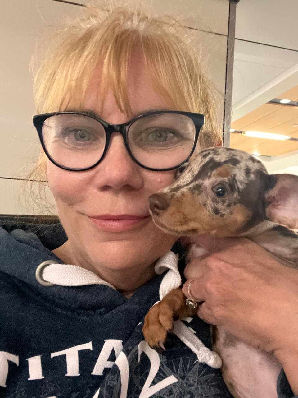 Pet travel photo 2