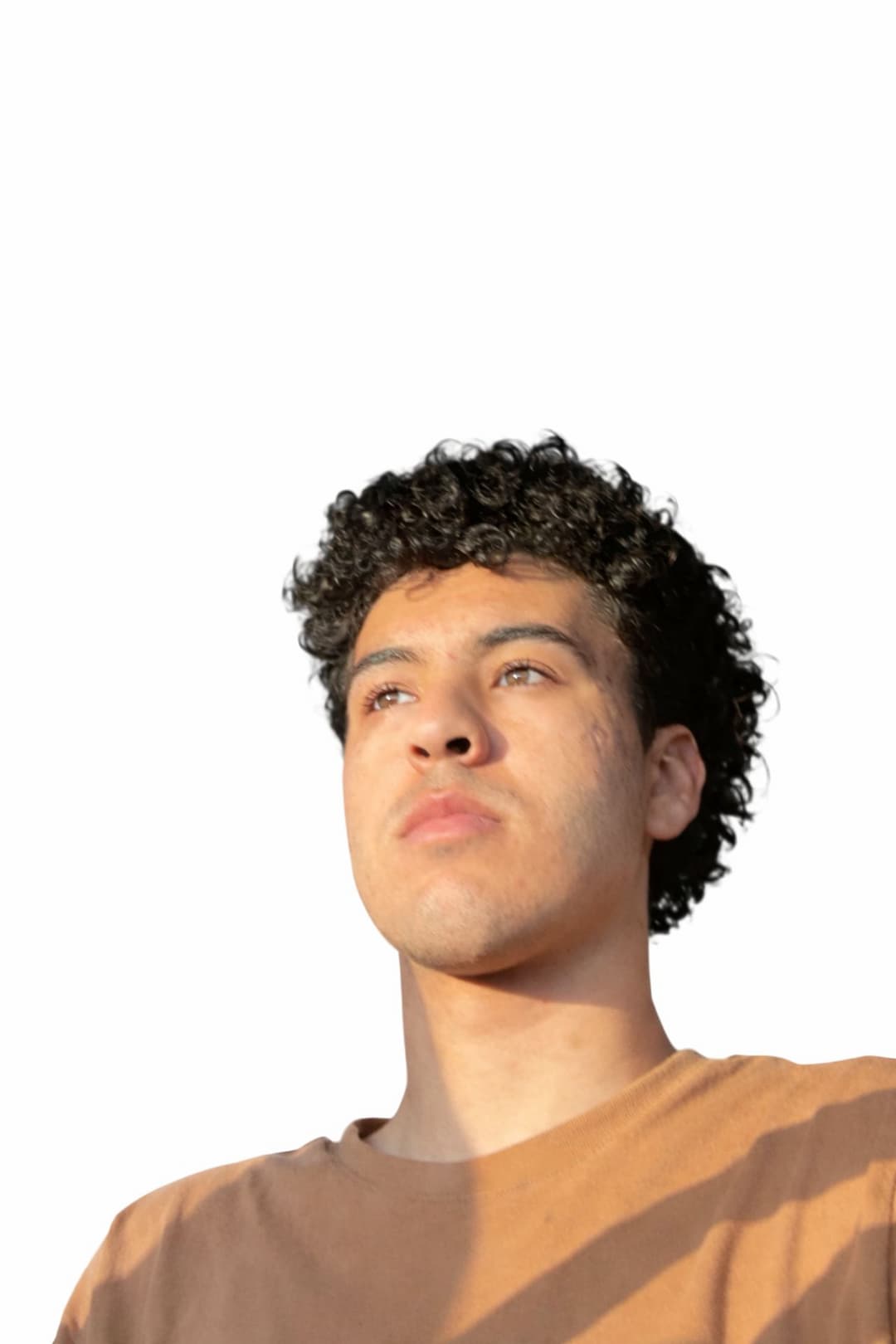 J’s SwiftShip Reliable Animal Transport