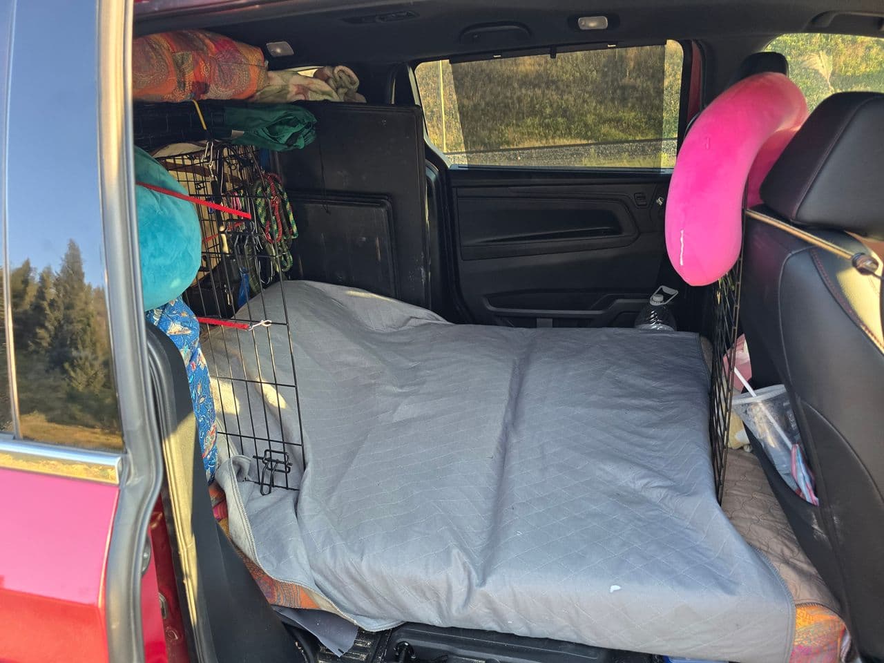 Pet travel photo 1
