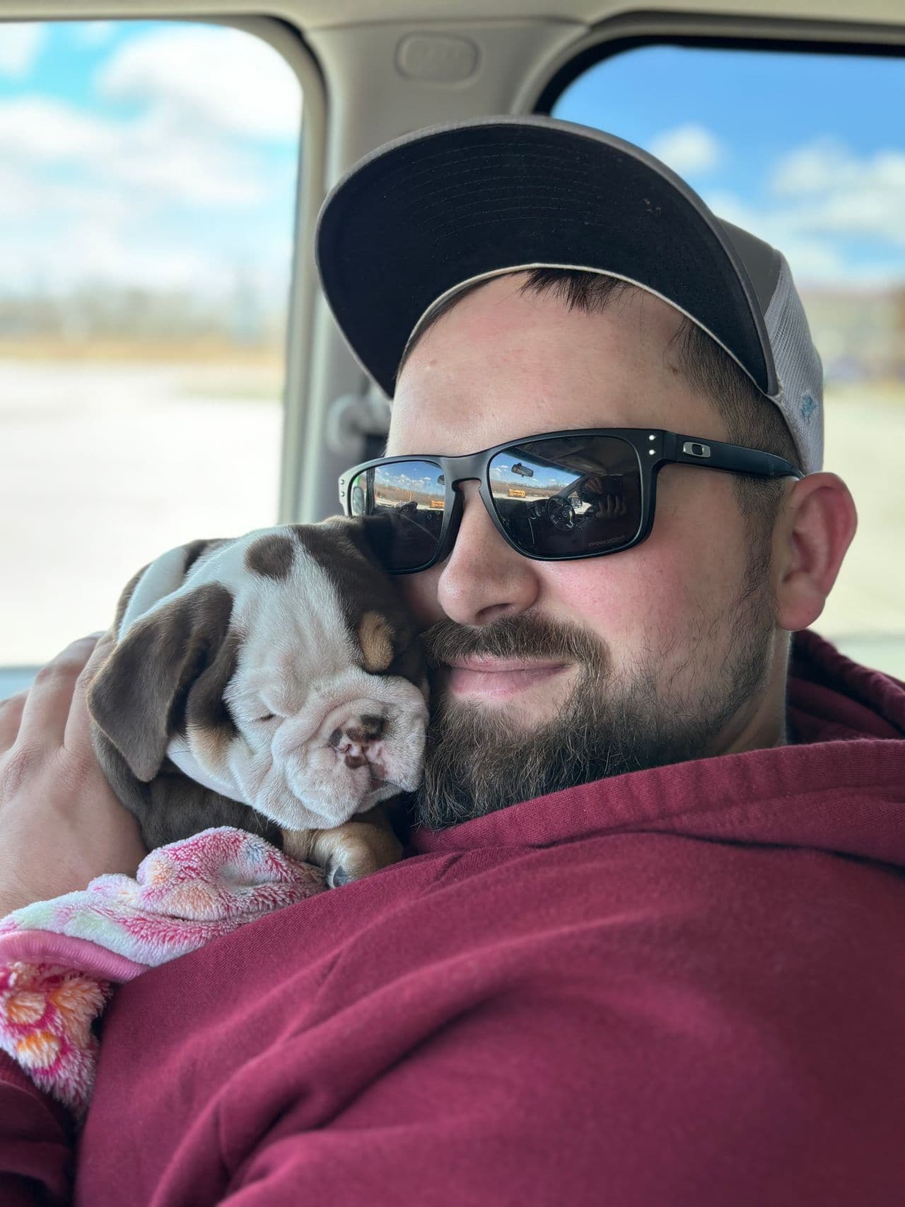 Pet travel photo 2