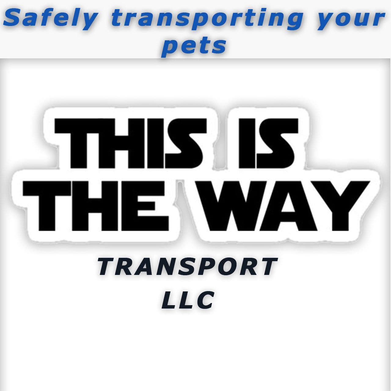 Pet travel photo 1