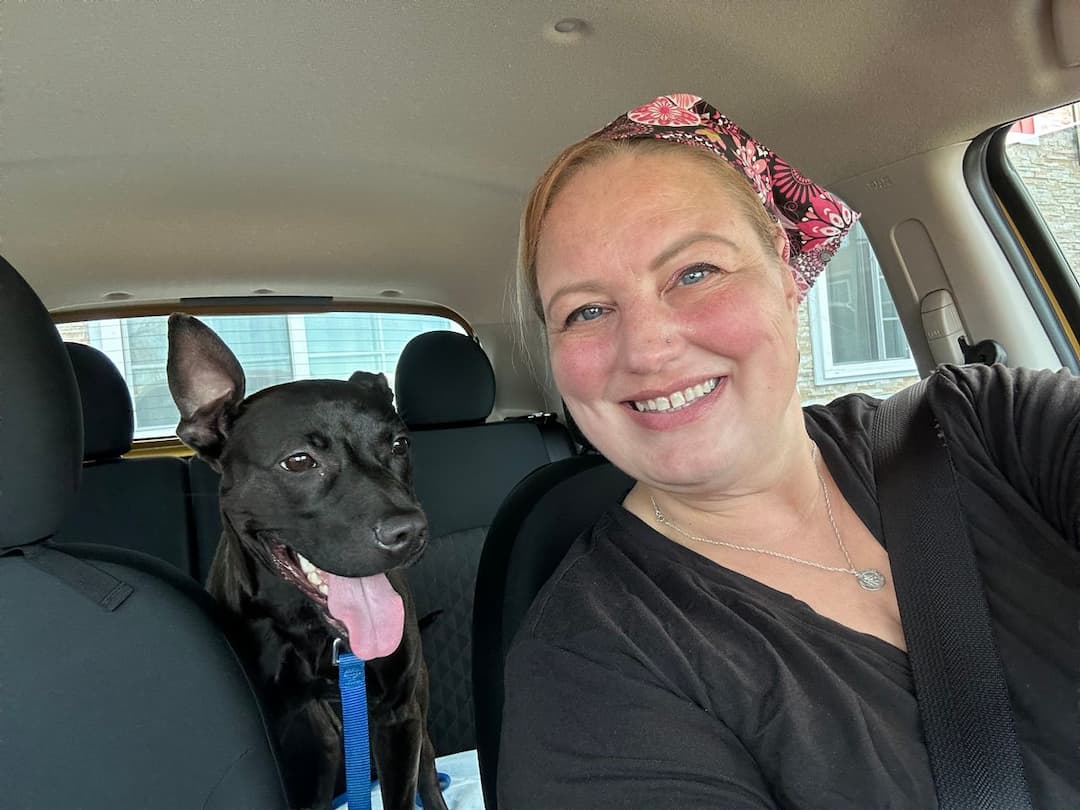 Pet Cab for Cutie