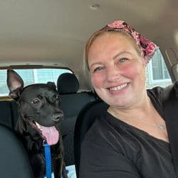 Pet Cab for Cutie