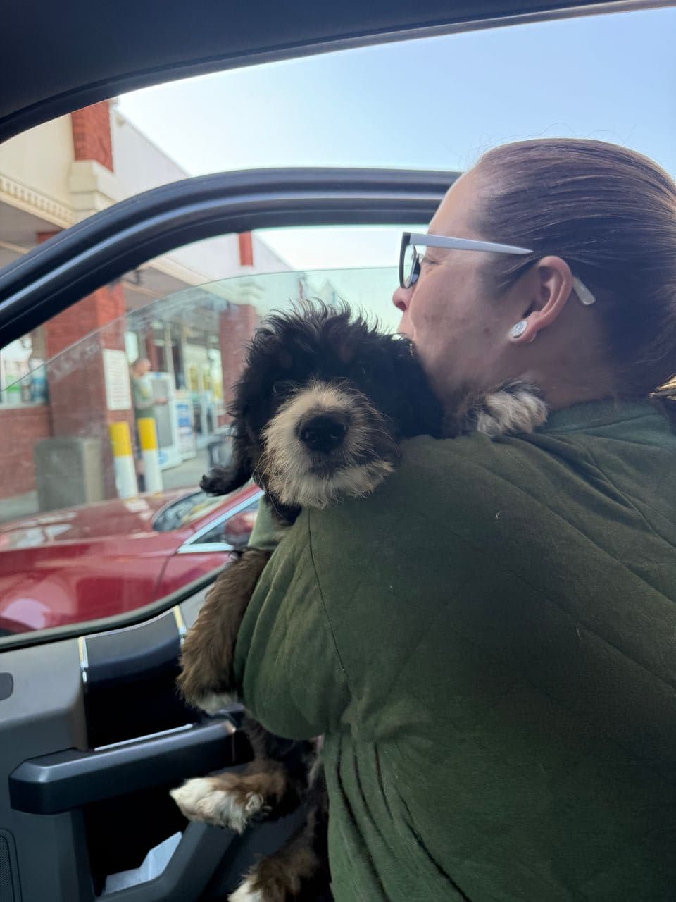 Pet travel photo 2