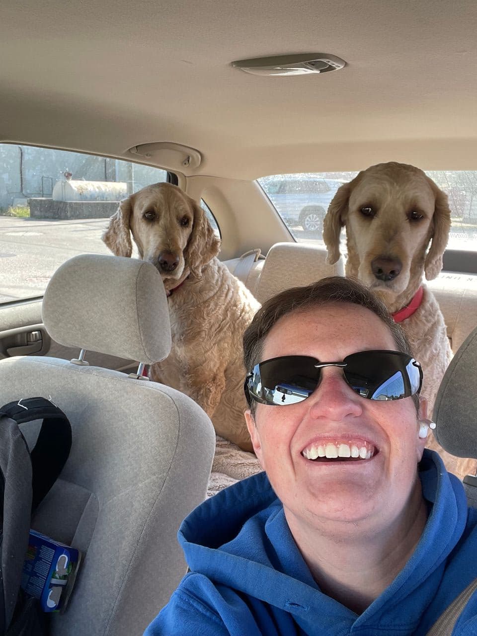 Pet travel photo 3