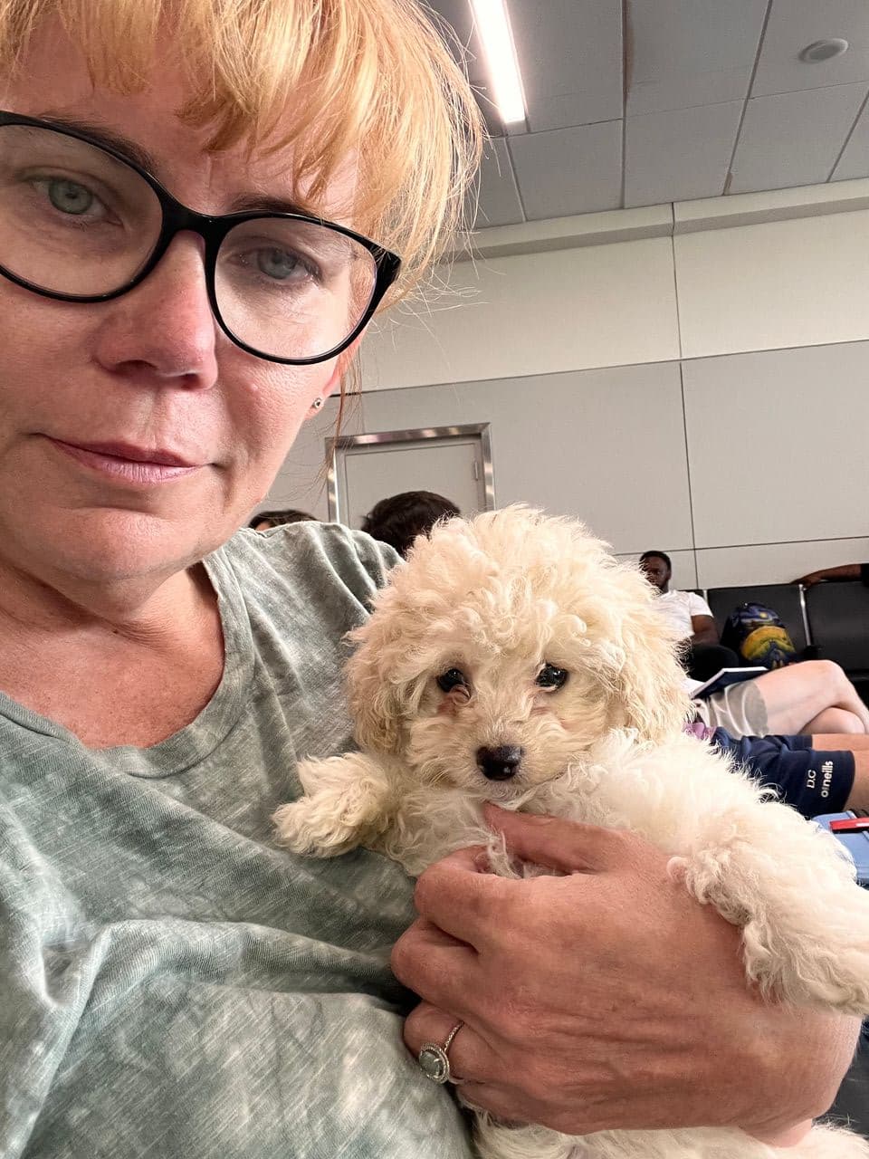 Pet travel photo 4