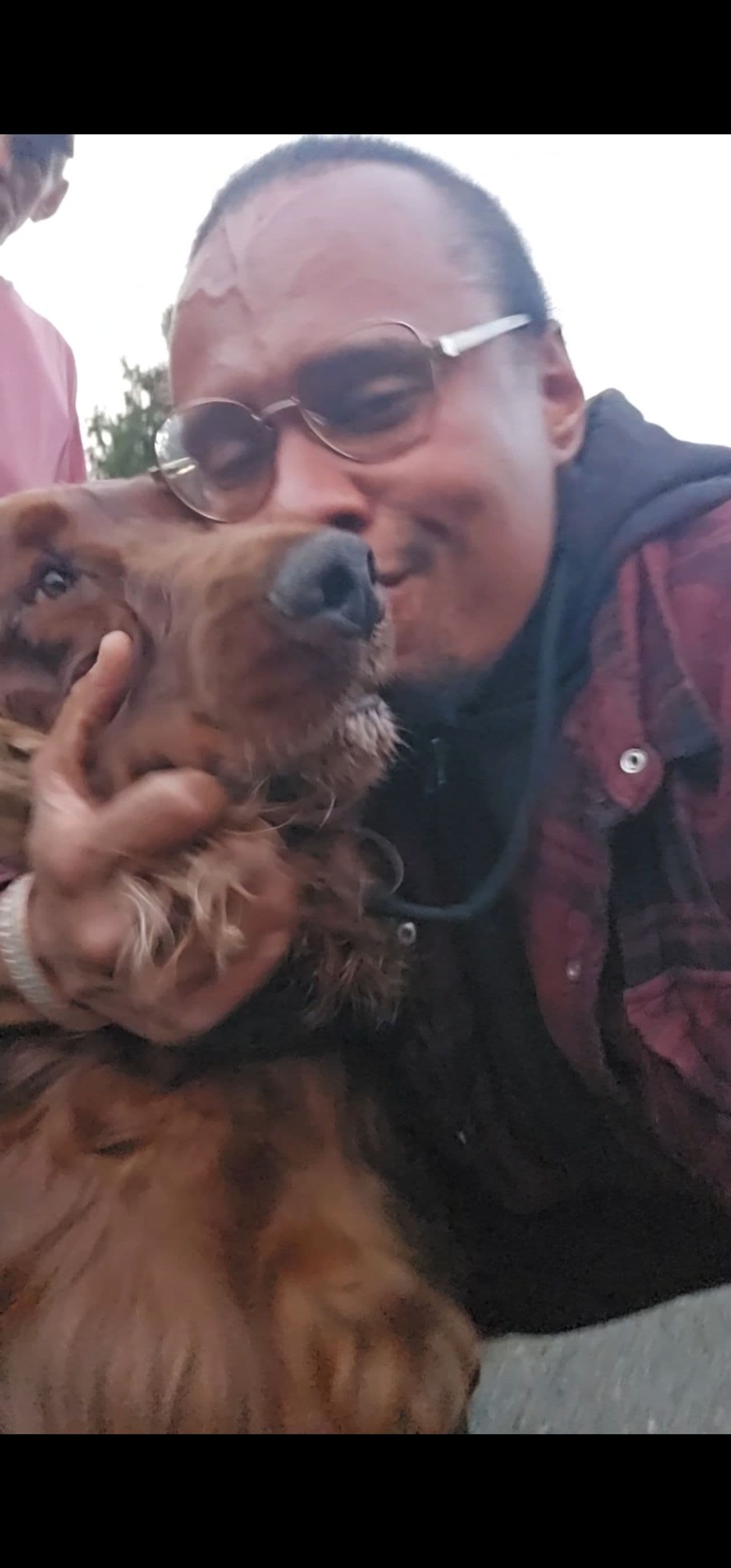 Pet travel photo 2