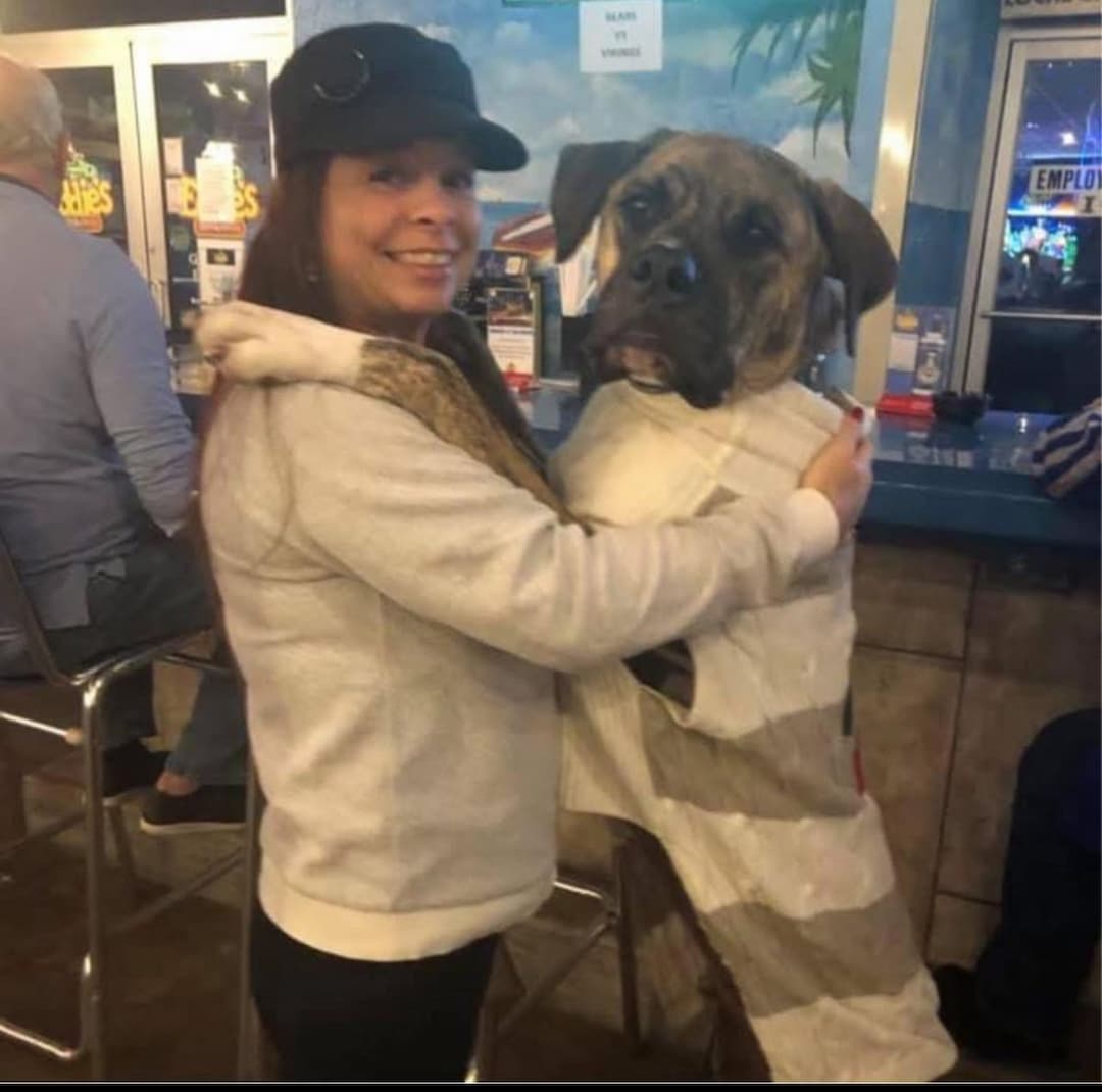 All The Paws Transport