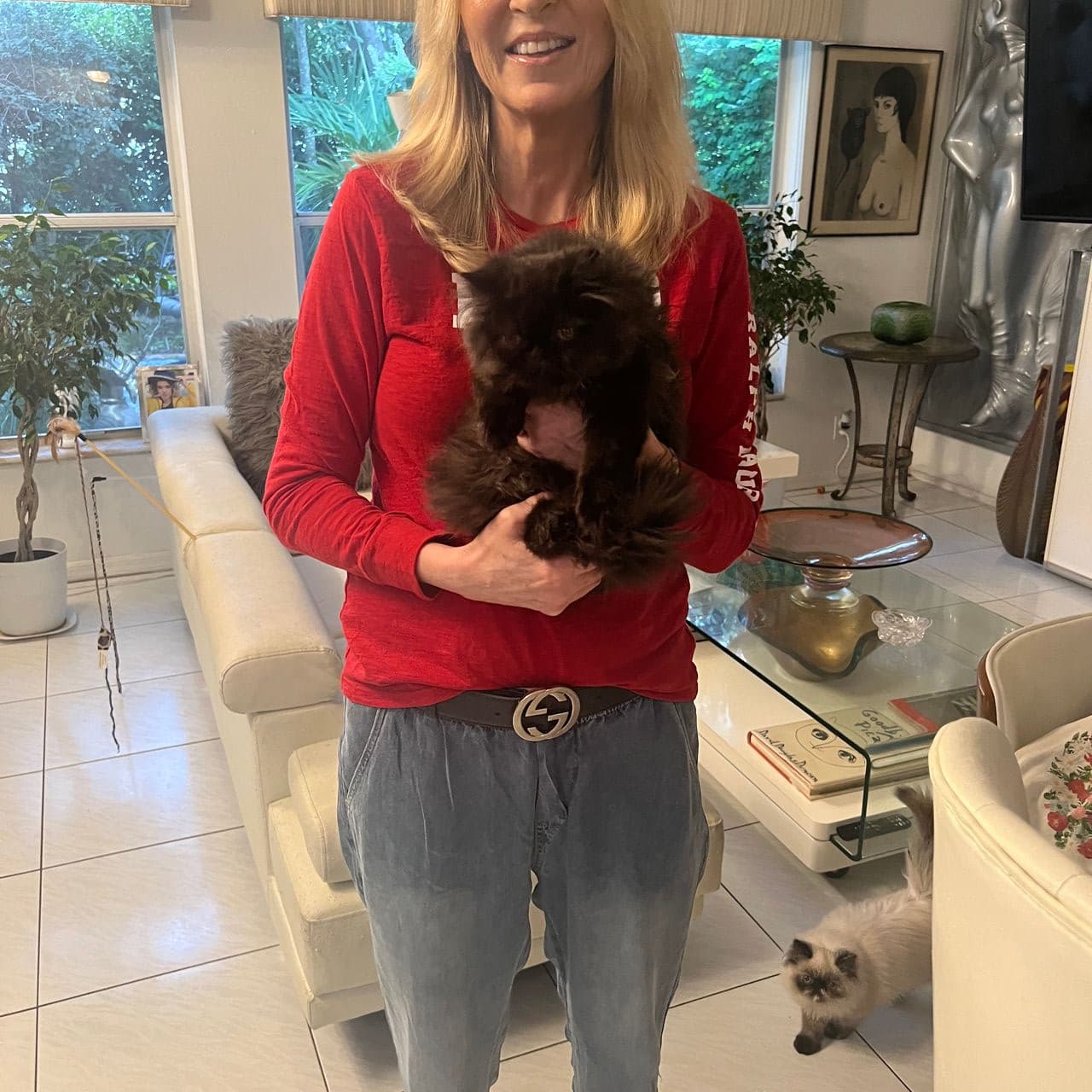 Pet travel photo 4