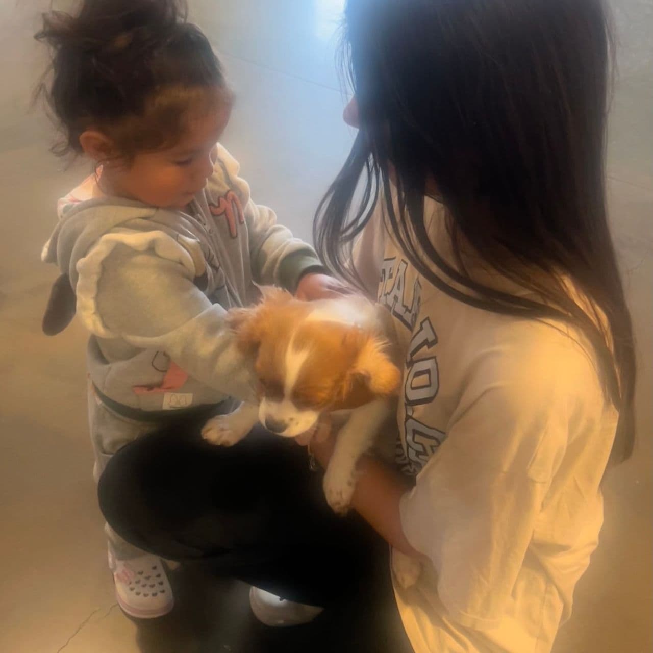 Pet travel photo 6