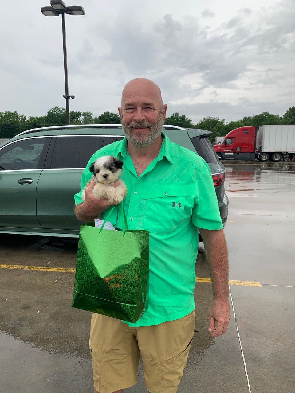 Pet travel photo 2