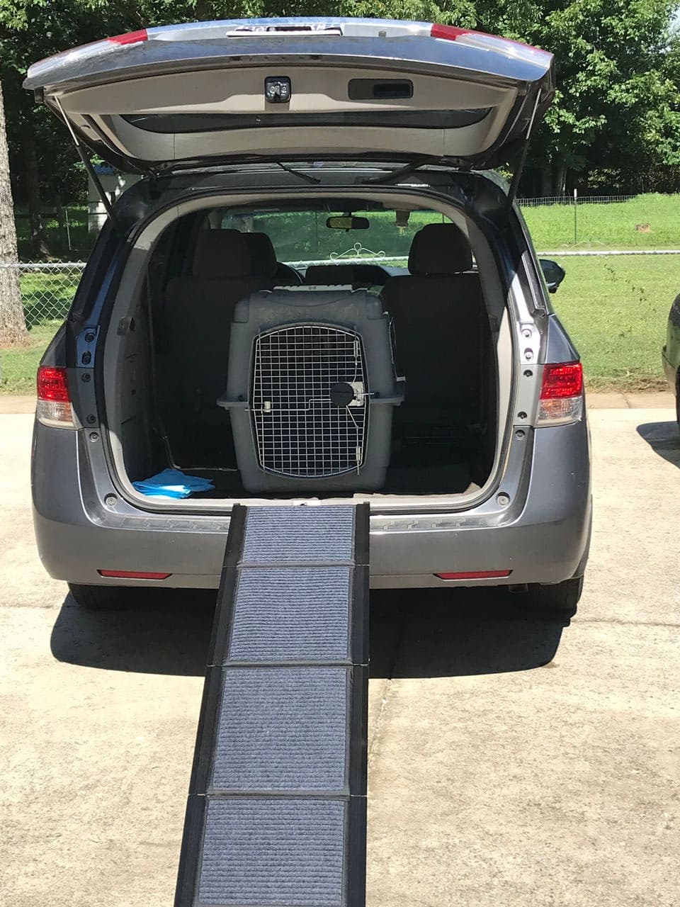 Pet travel photo 2