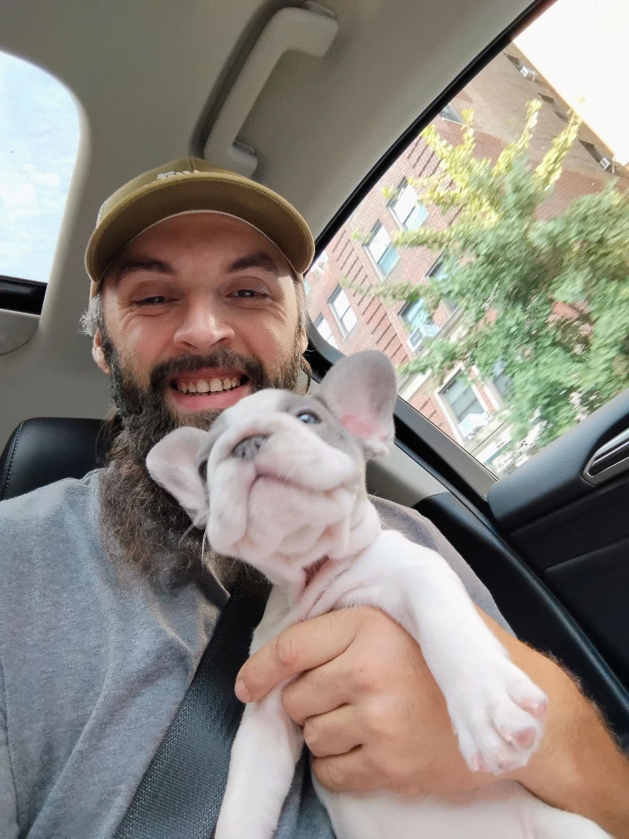 Pet travel photo 2