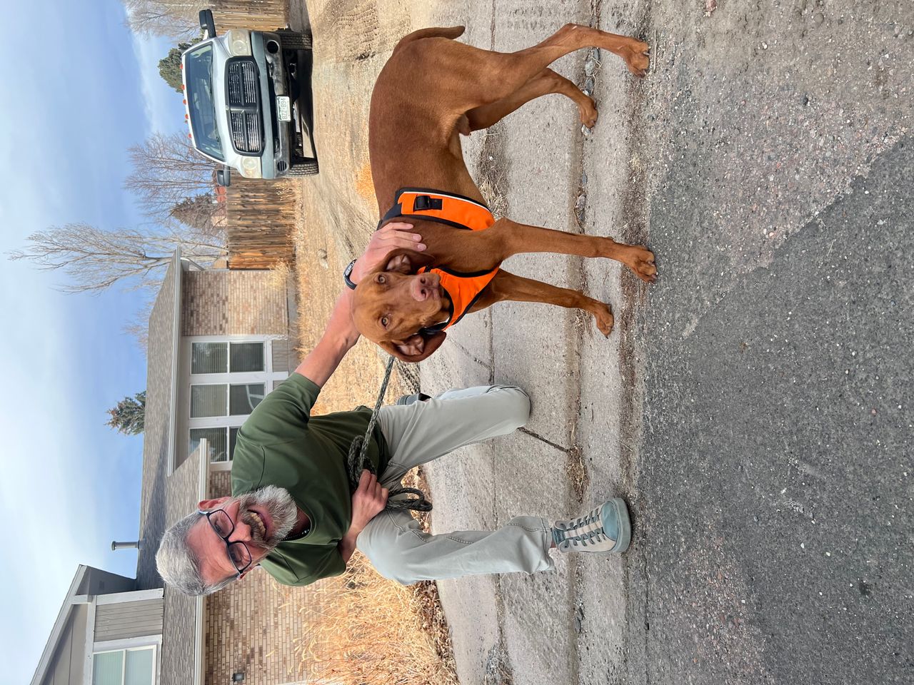 Pet travel photo 3