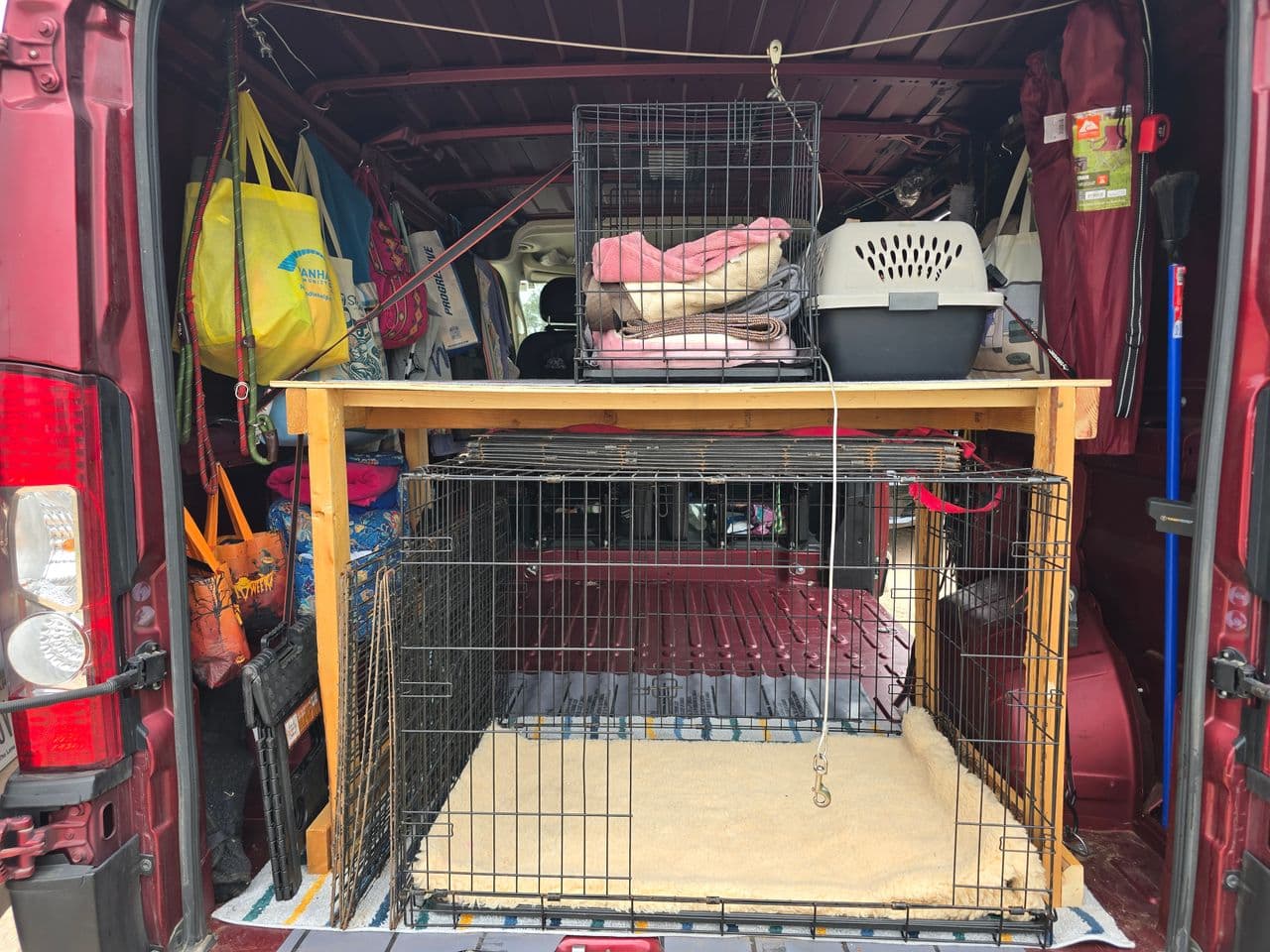 Pet travel photo 3
