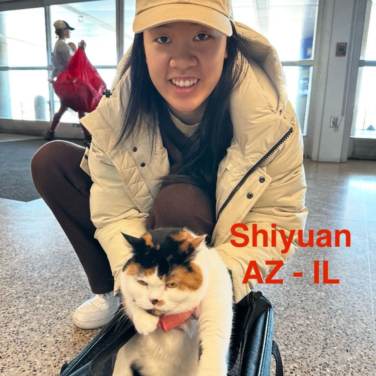 Pet travel photo 1