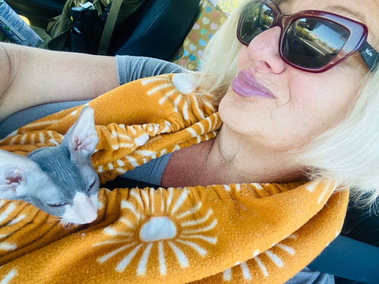 Pet travel photo 1