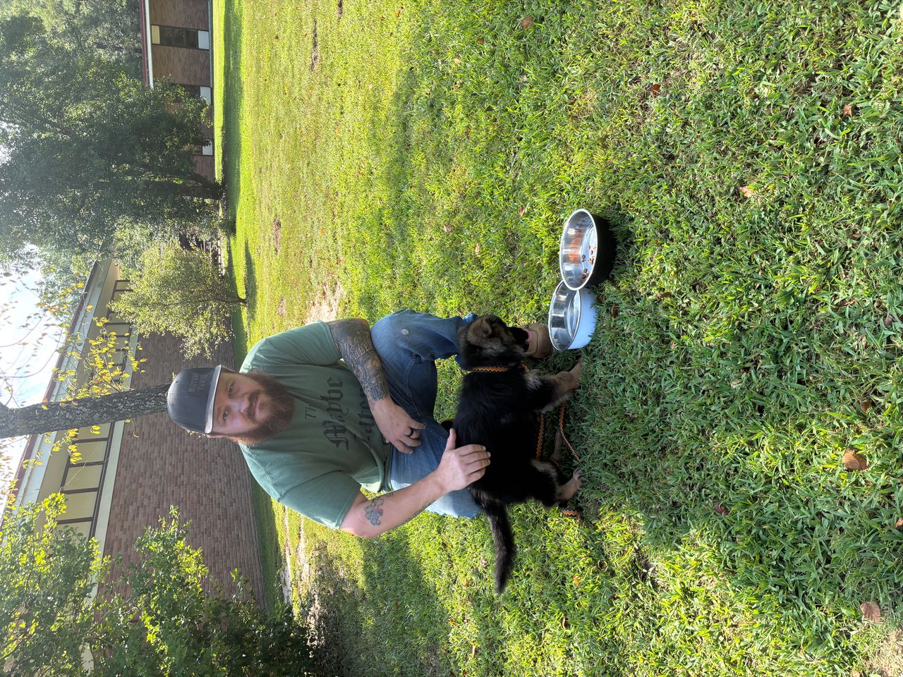 Pet travel photo 1