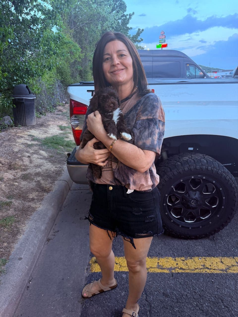 Pet travel photo 2