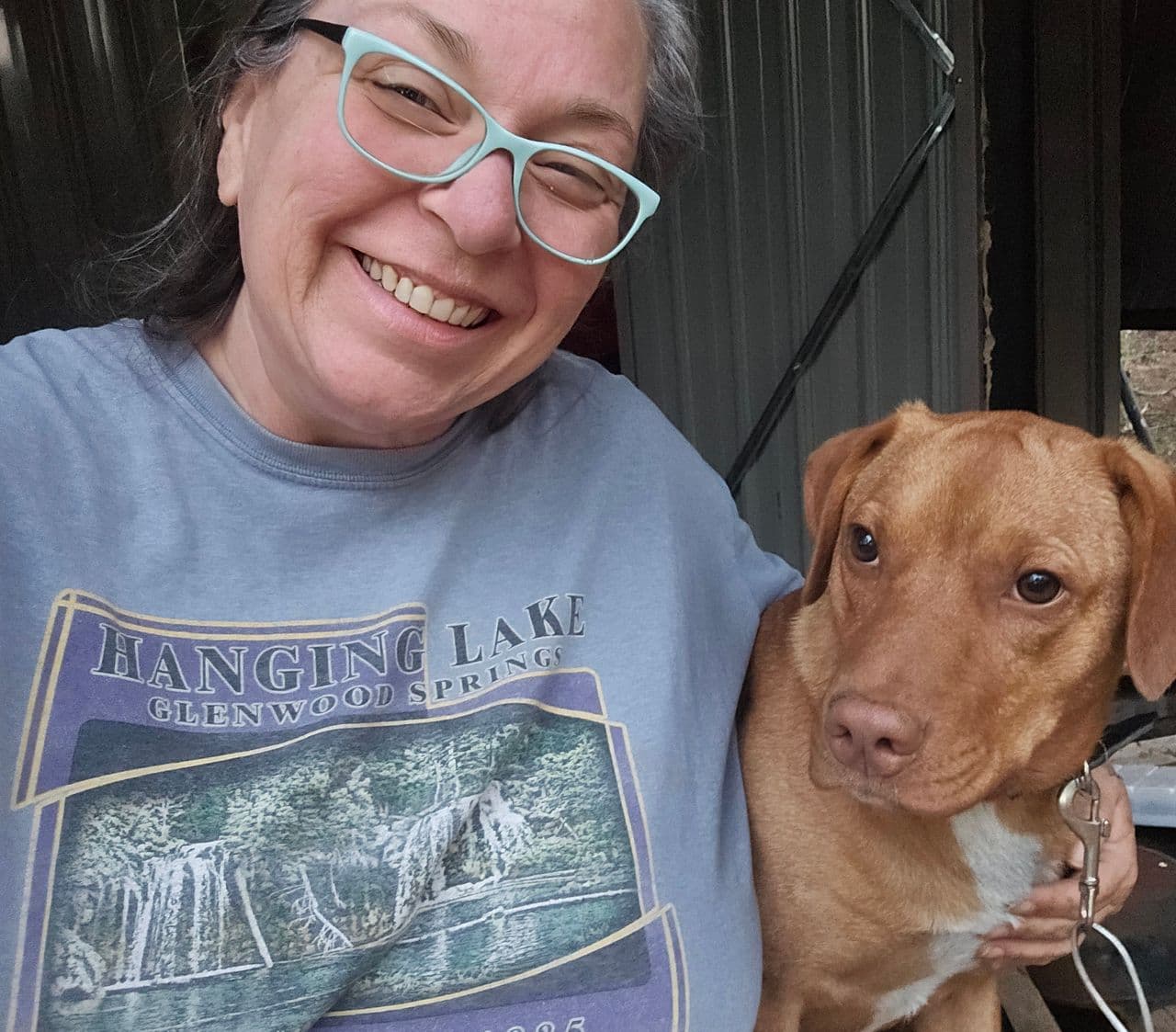 Pet travel photo 1