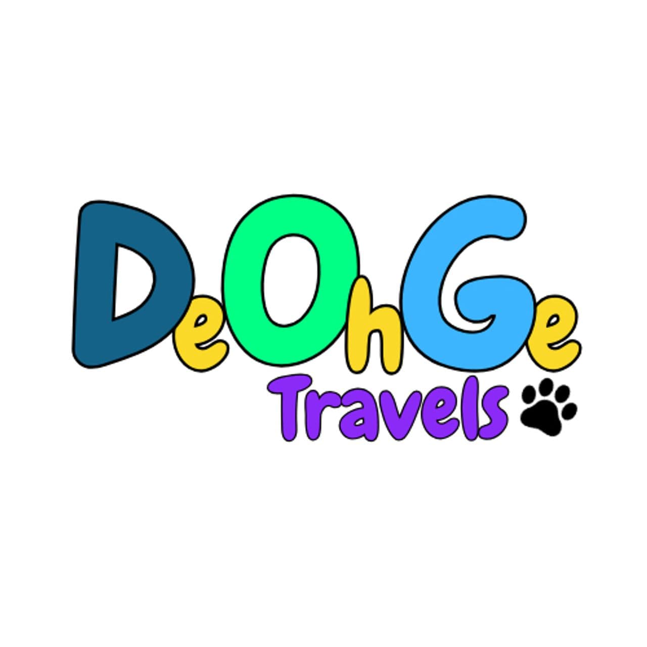 Pet travel photo 3