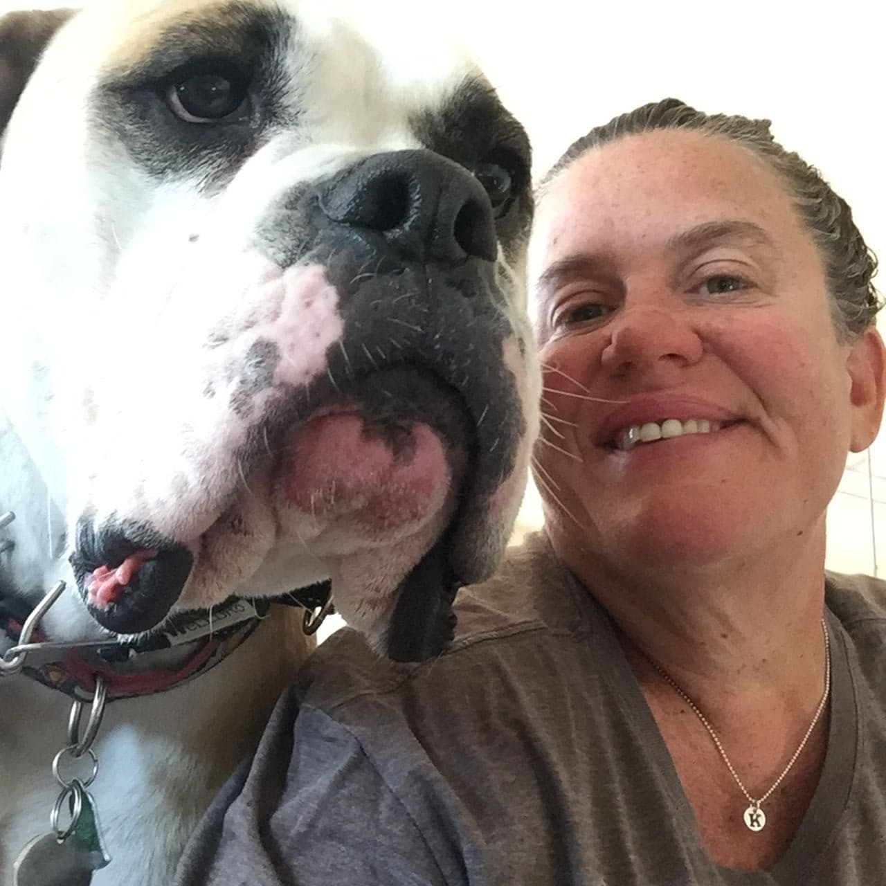 Pet travel photo 5